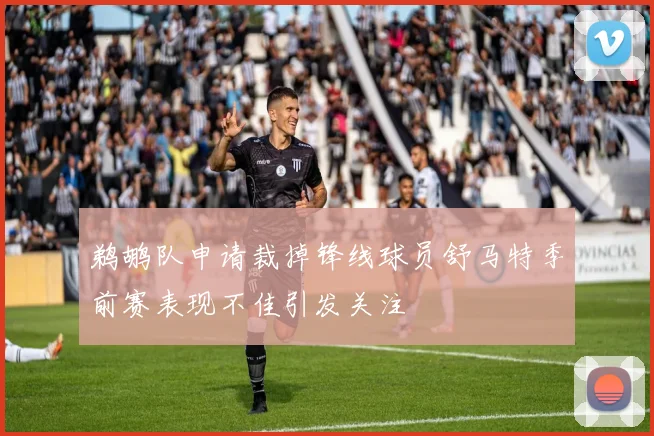 鹈鹕队申请裁掉锋线球员舒马特季前赛表现不佳引发关注